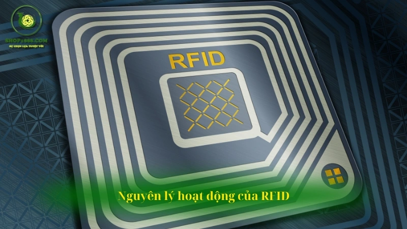 Nguyên lý hoạt động của thẻ RFID trong máy chấm công